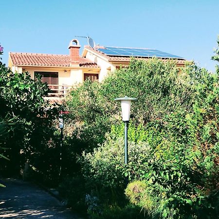 Adria Apartments Sveti Filip i Jakov Bagian luar foto