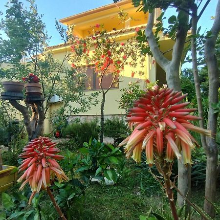 Adria Apartments Sveti Filip i Jakov Bagian luar foto