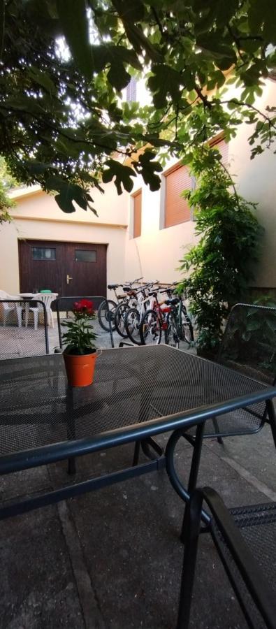 Adria Apartments Sveti Filip i Jakov Bagian luar foto
